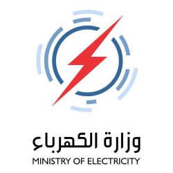 وزارت برق و شرکتهای خصوصی  عراق